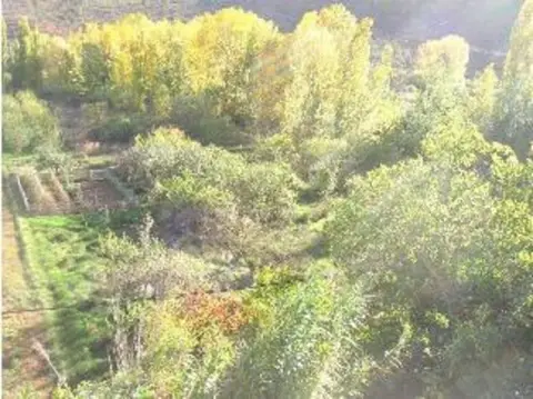 Finca rústica en calle Paraje Casa Gil Polígono 14 Parcela 229 Partida De